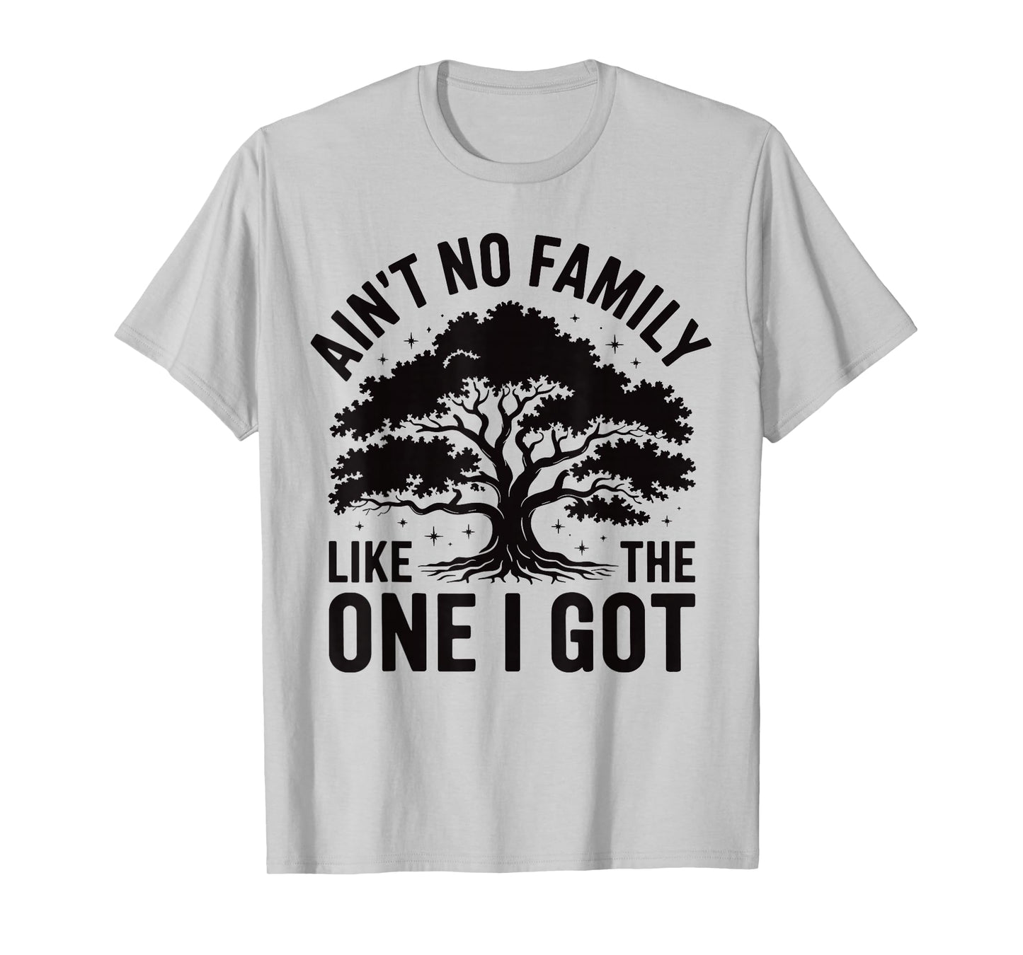 Ain't No Family Like The One I Got Cute Matching Reunion T-Shirt