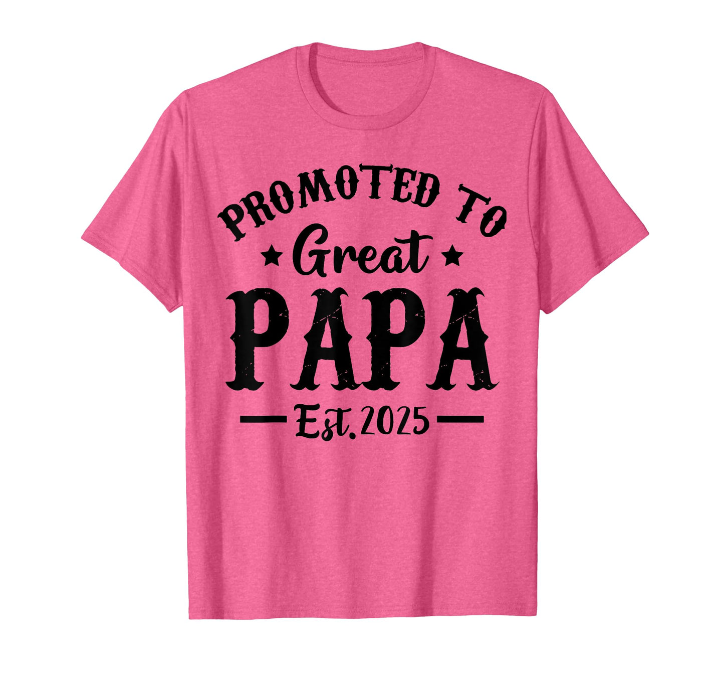 Promoted To Great Papa Est 2025 Dad T-Shirt