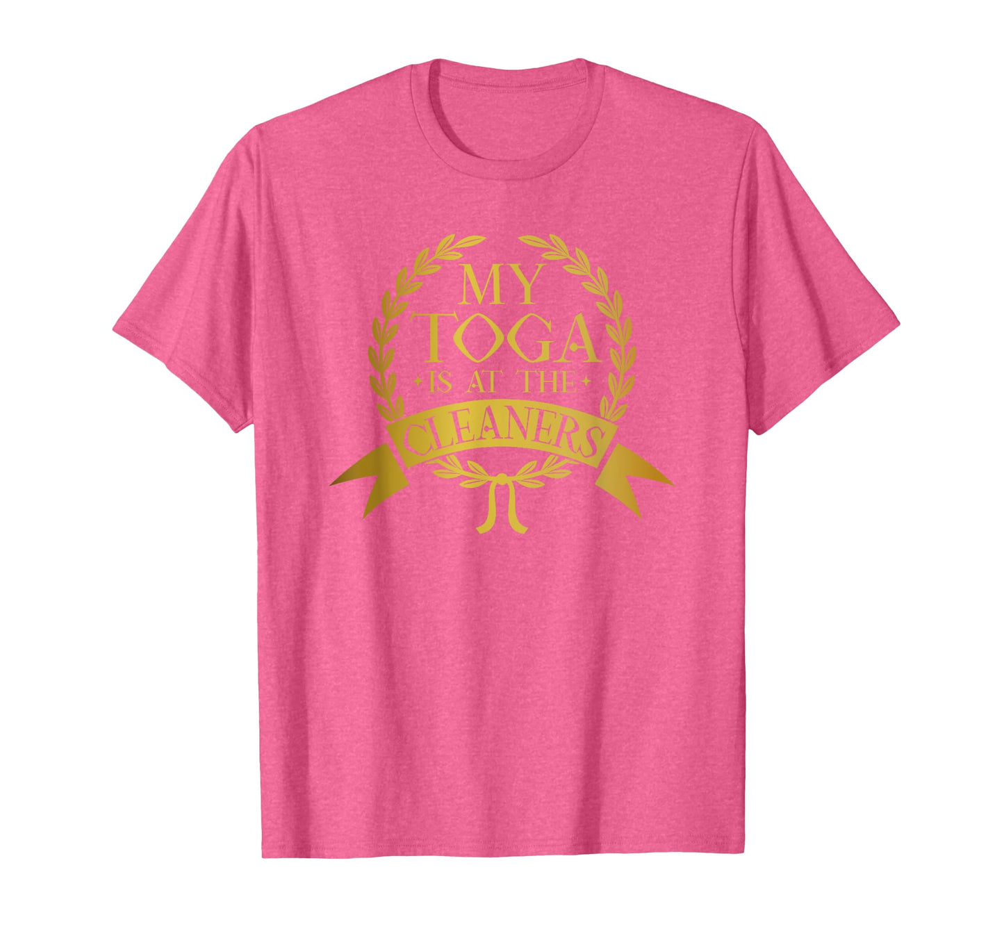 My Toga Is At The Cleaners Greek Party Costume T-Shirt