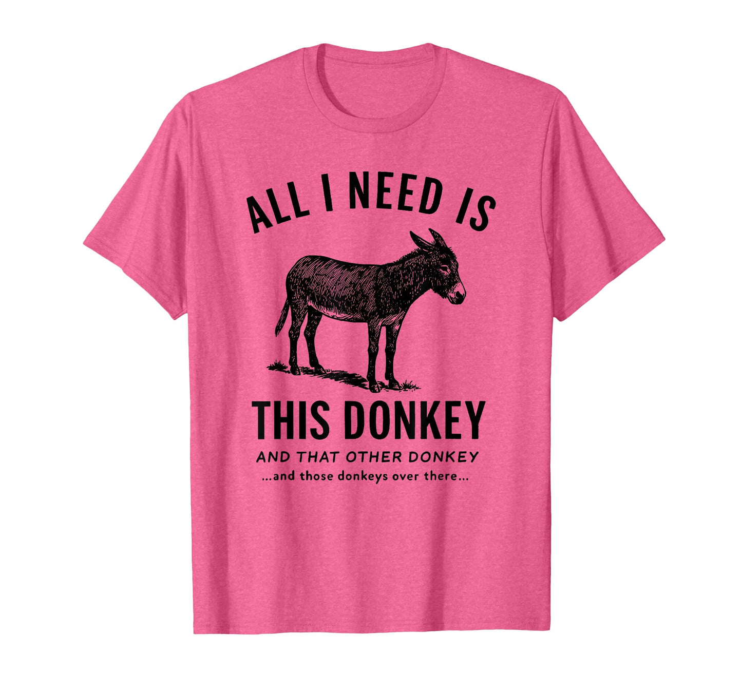 All I Need Is This Donkey Funny Vintage Animal T-Shirt