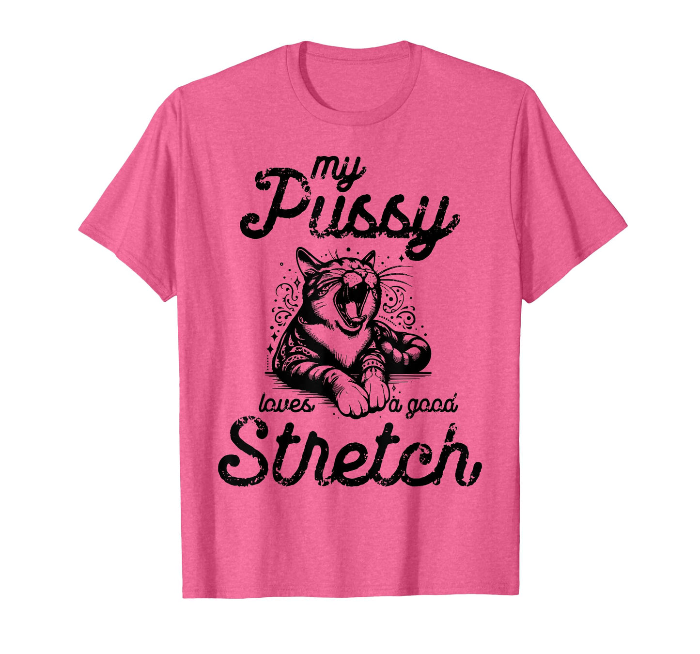 Cat My Pussy Loves A Good Stretch Men Women T-Shirt