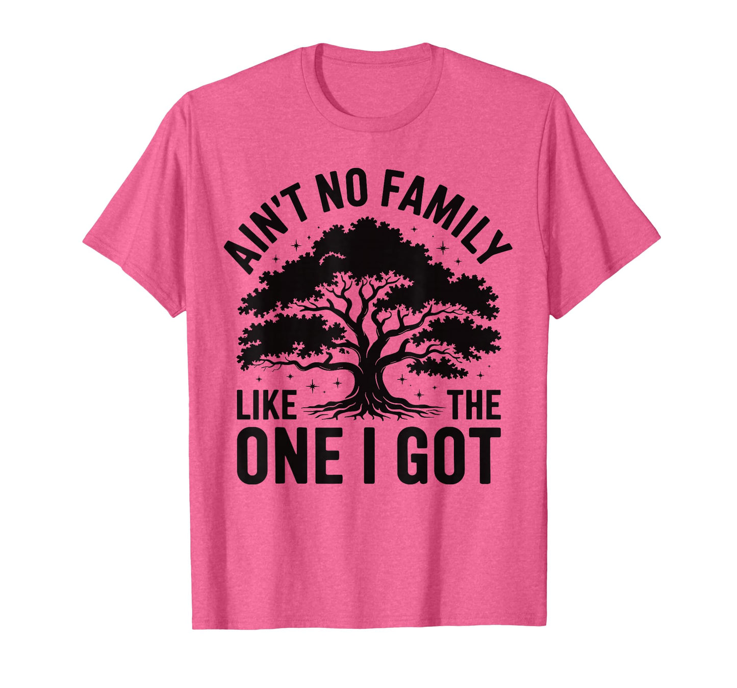 Ain't No Family Like The One I Got Cute Matching Reunion T-Shirt