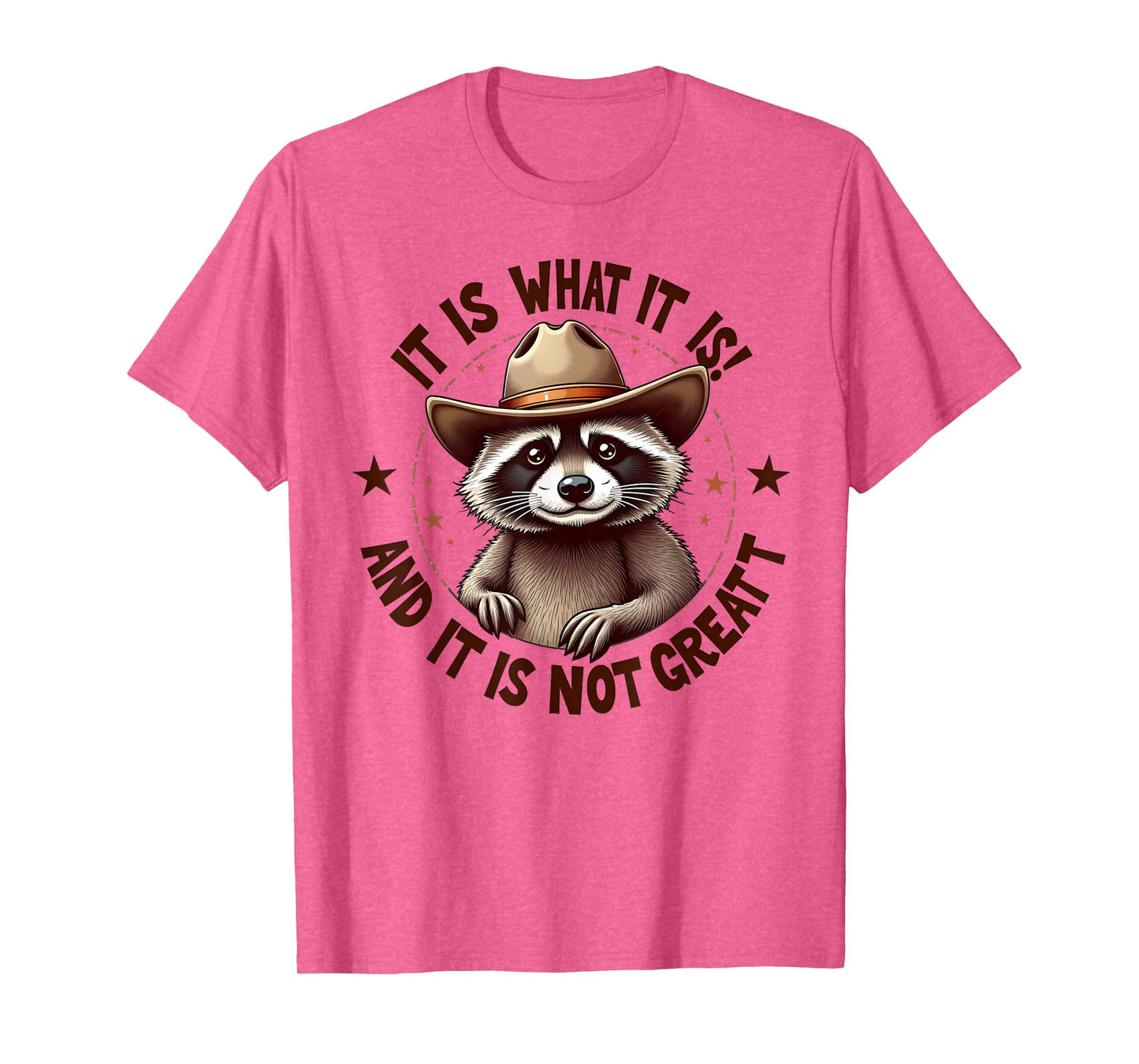 It Is What It Is And It Is Not Great Raccoon Lovers Vintage T-Shirt