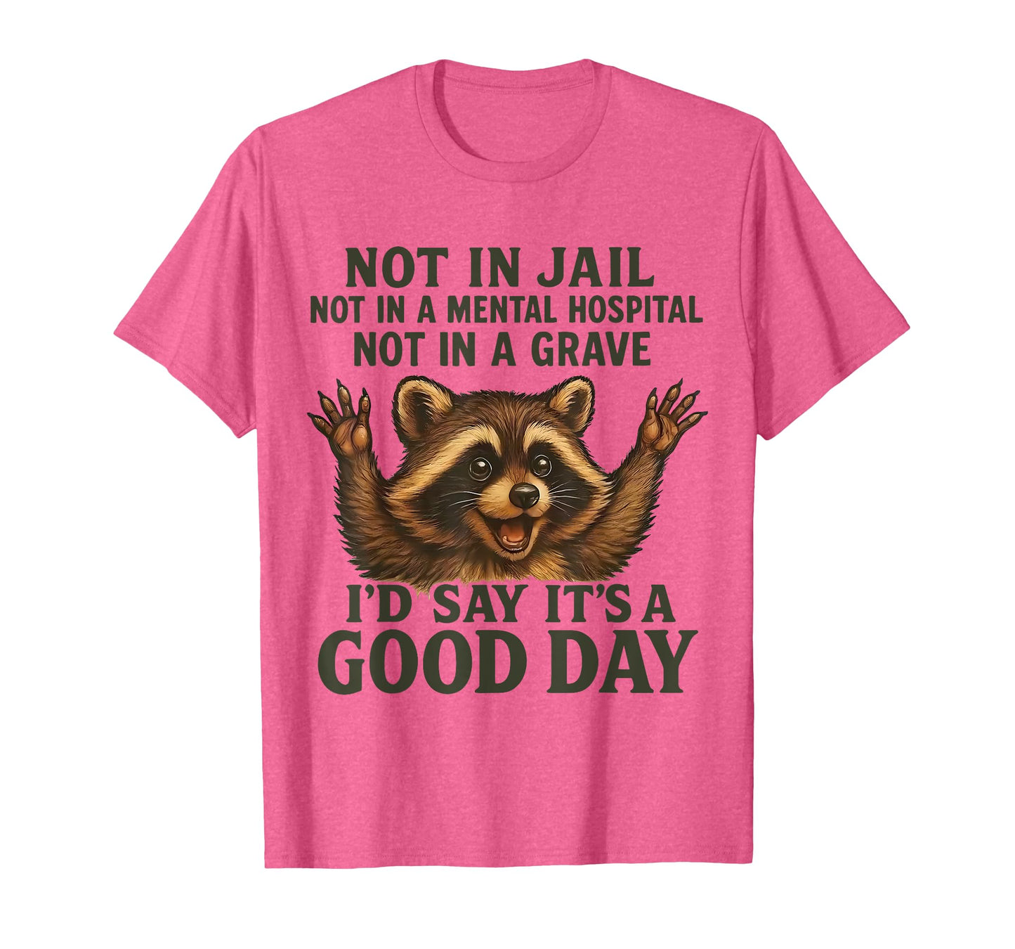 Not in Jail Not in A Mental Hospital Not in A Grave Raccoon T-Shirt