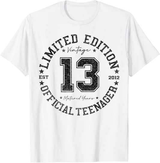 Official Teenager 13 Year Old Gifts Vintage 13th Birthday T-Shirt