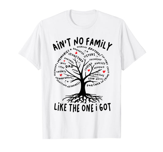 Ain't No Family Like The One I Got Matching Family Reunion T-Shirt