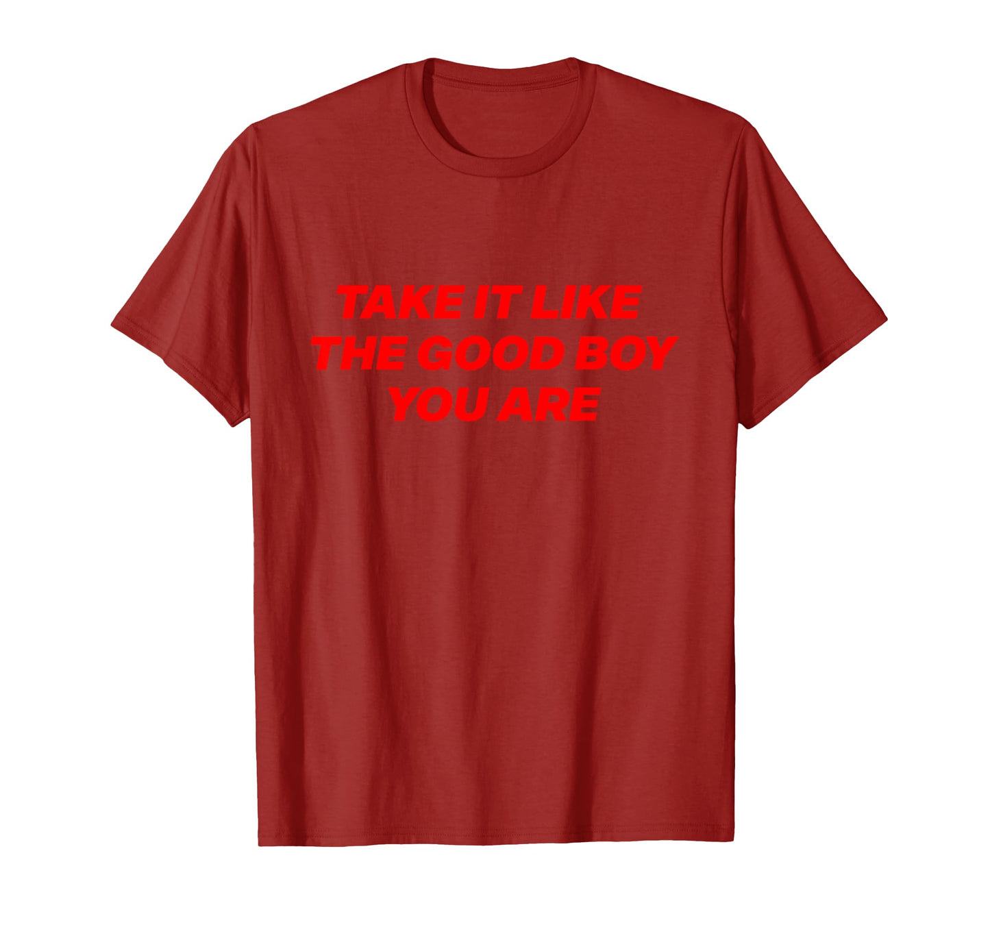 Take It Like The Good Boy You are Funny Quote T-Shirt