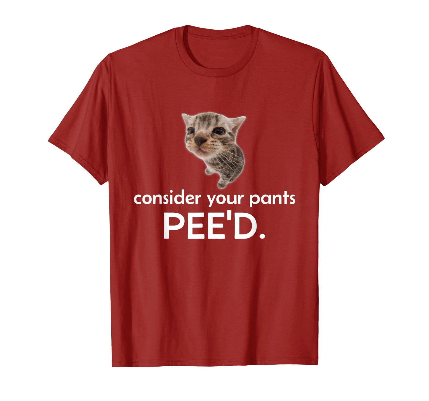 Consider Your Pants Peed Funny Cat Meme Men Women T-Shirt