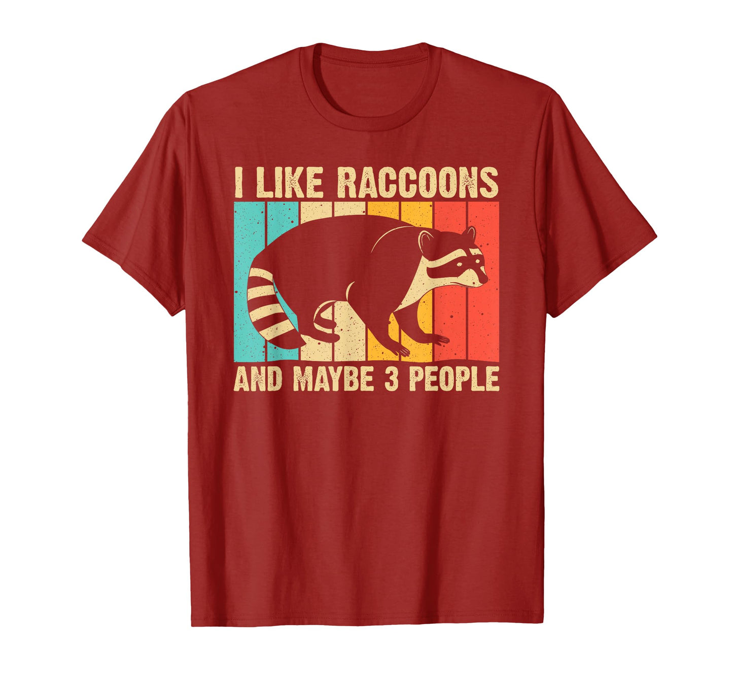 Funny Raccoon Design For Men Women Raccoon Lover Introvert T-Shirt