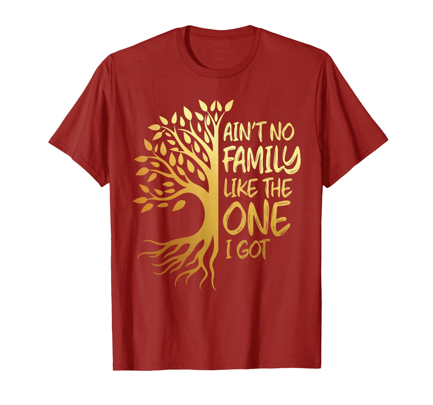 Ant no family like the one i got family tree reunion 2024 T-Shirt