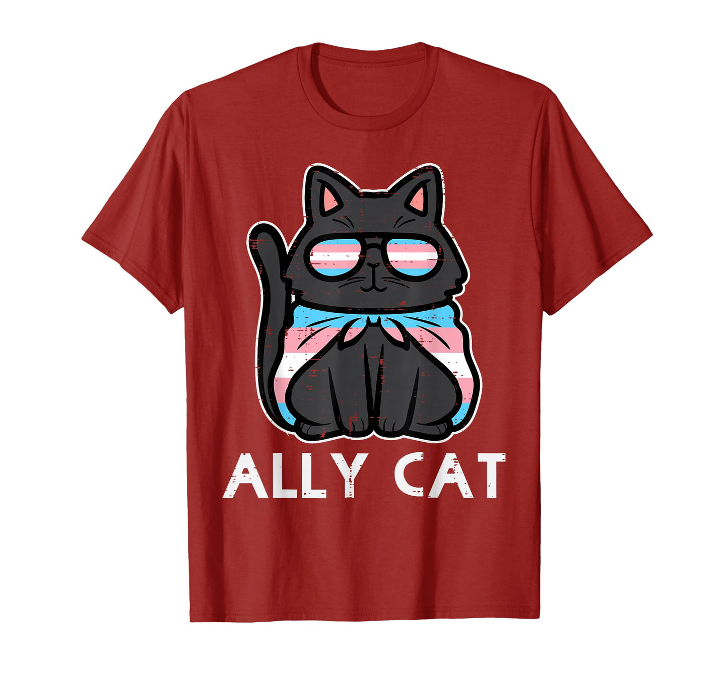 Transgender Ally Cat Trans Pride Flag LGBTQ Women Girls Kids T-Shirt