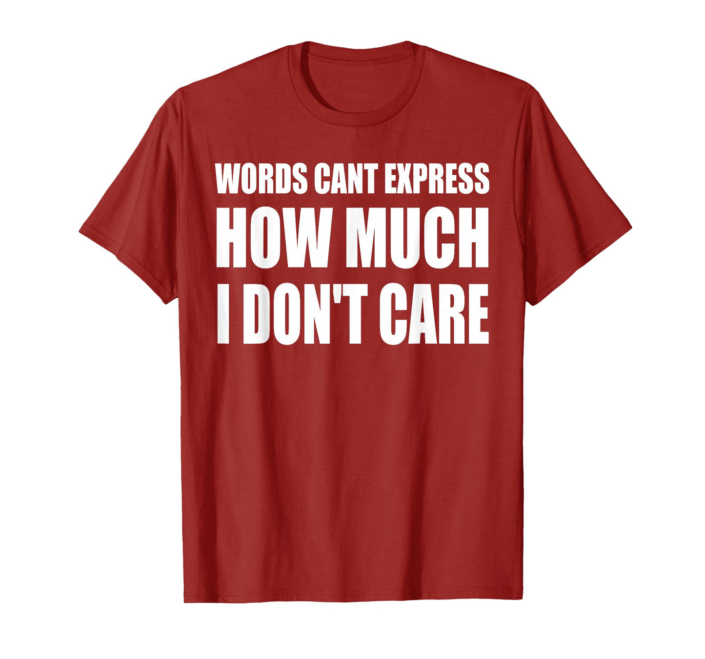 Words Can't Express How Much I Don't Care Funny Saying T-Shirt