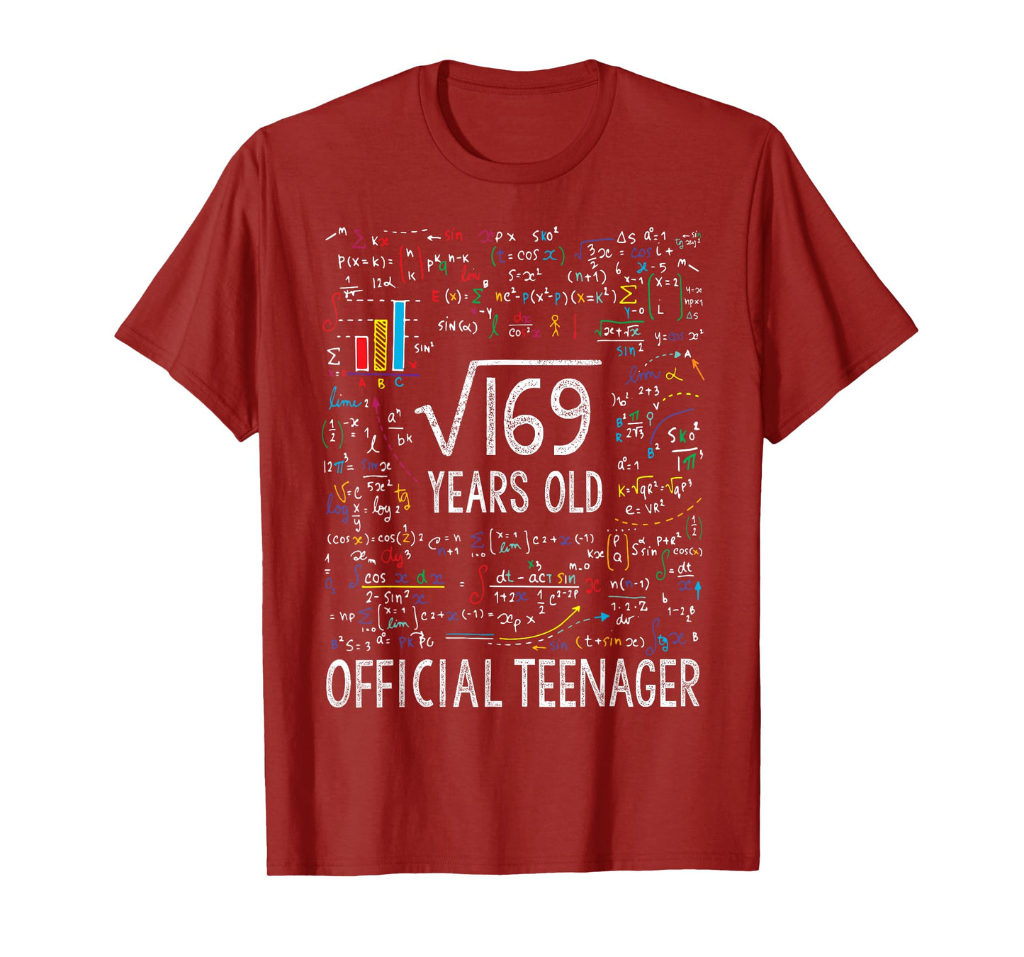 Square Root Of 169 13 Years Old Official Teenager Birthday T-Shirt