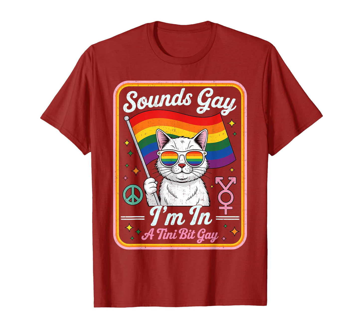 Hilarious LGBTQ Cat Holding Flag with A Tini Bit Gay Quote T-Shirt for Men Women Kids