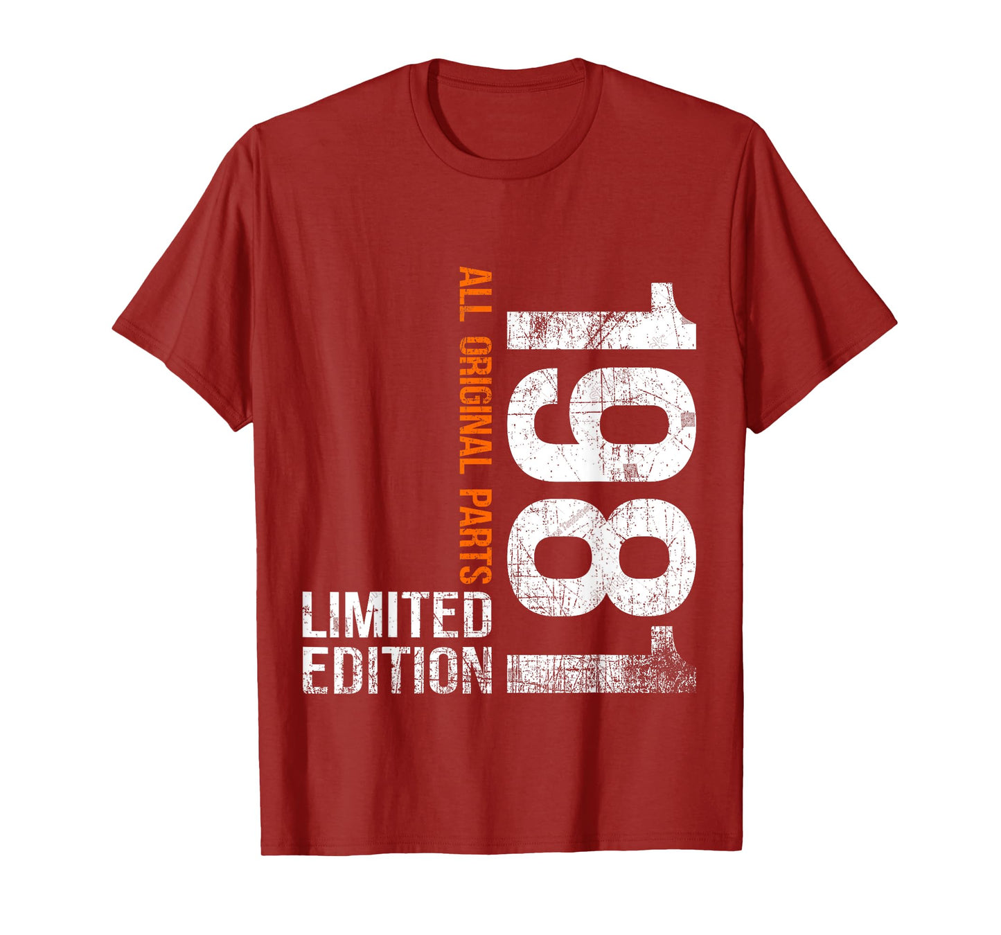 Vintage 1981 44th Birthday Gifts Men Women 44 Years Old T-Shirt