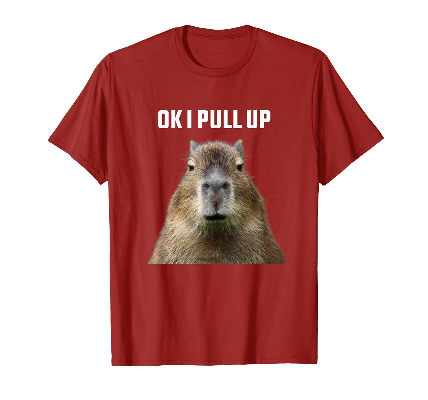 Ok I Pull Up Capybara T-Shirt, Black