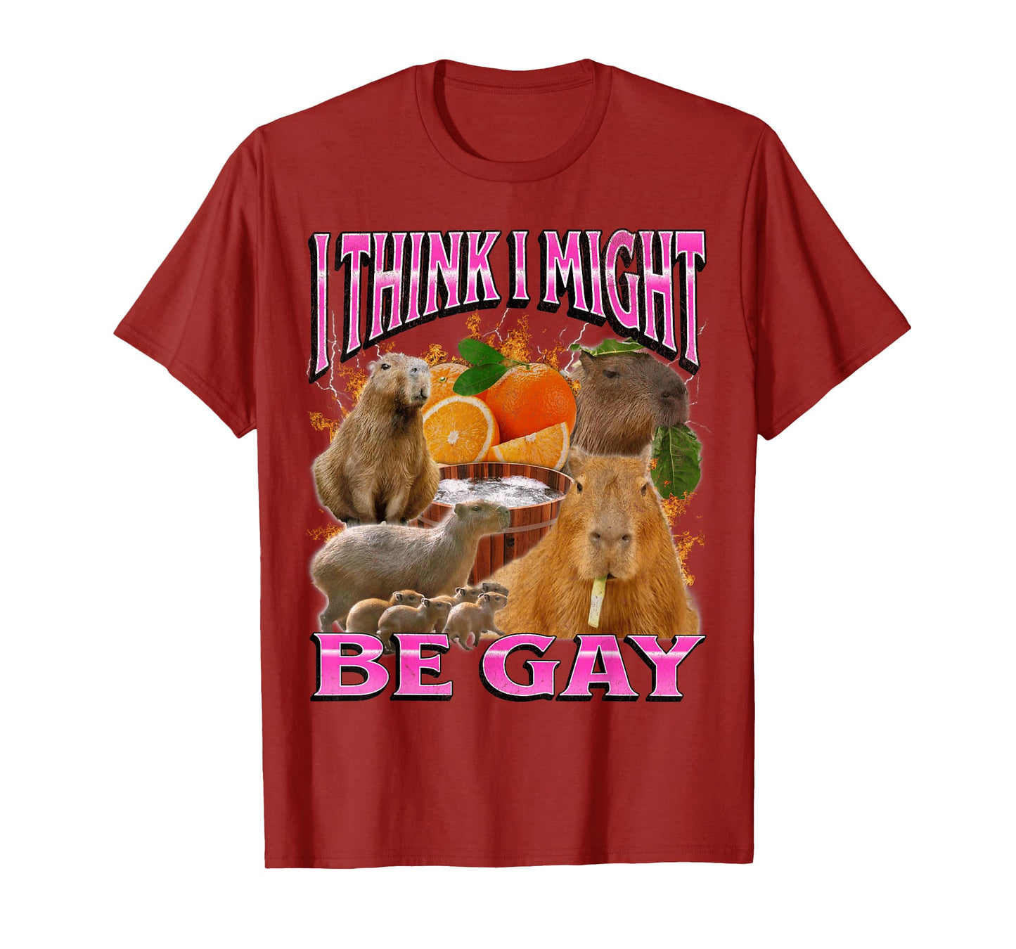 I Think I Might Be Gay Funny Capybara Meme Bootleg Y2K T-Shirt