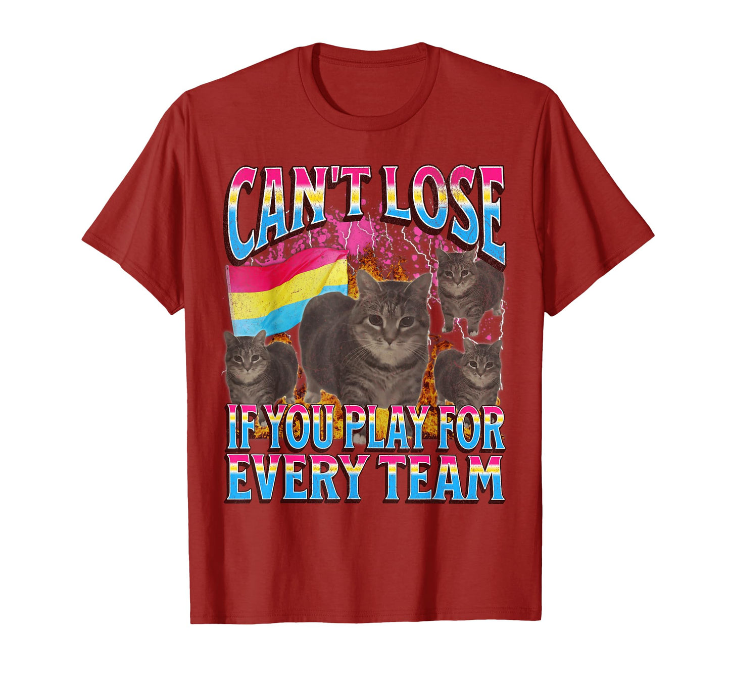 Can't Lose Funny Pansexual Lgbtq Cat Meme Bootleg Graphic T-Shirt