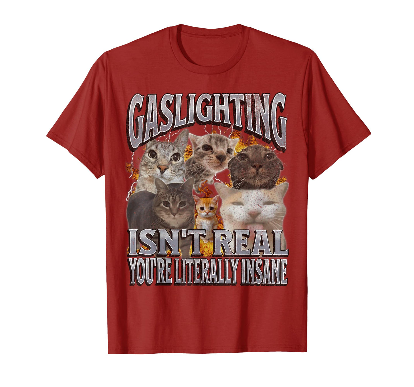 Gaslighting Isn't Real Funny Cat Meme Bootleg Graphic T-Shirt for Men Women