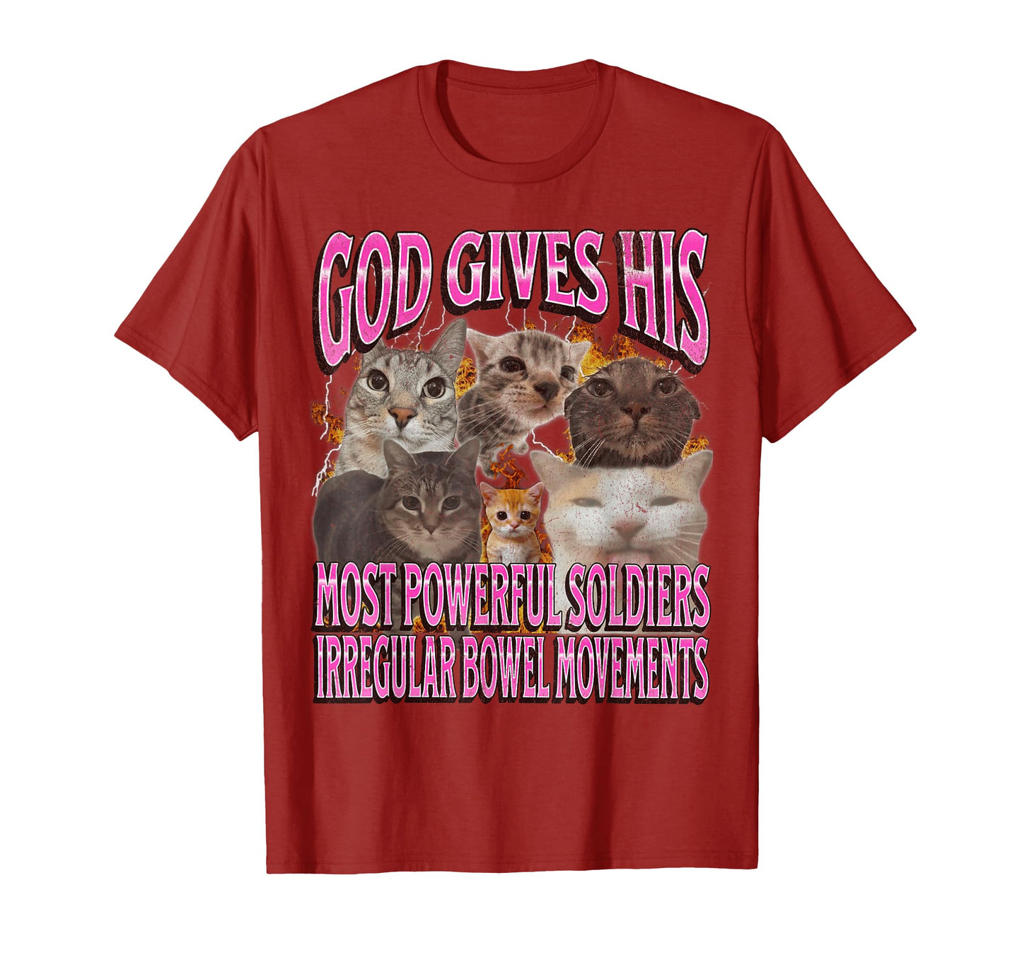 Gods Most Powerful Irregular Bowel Movements Funny Cat Meme T-Shirt