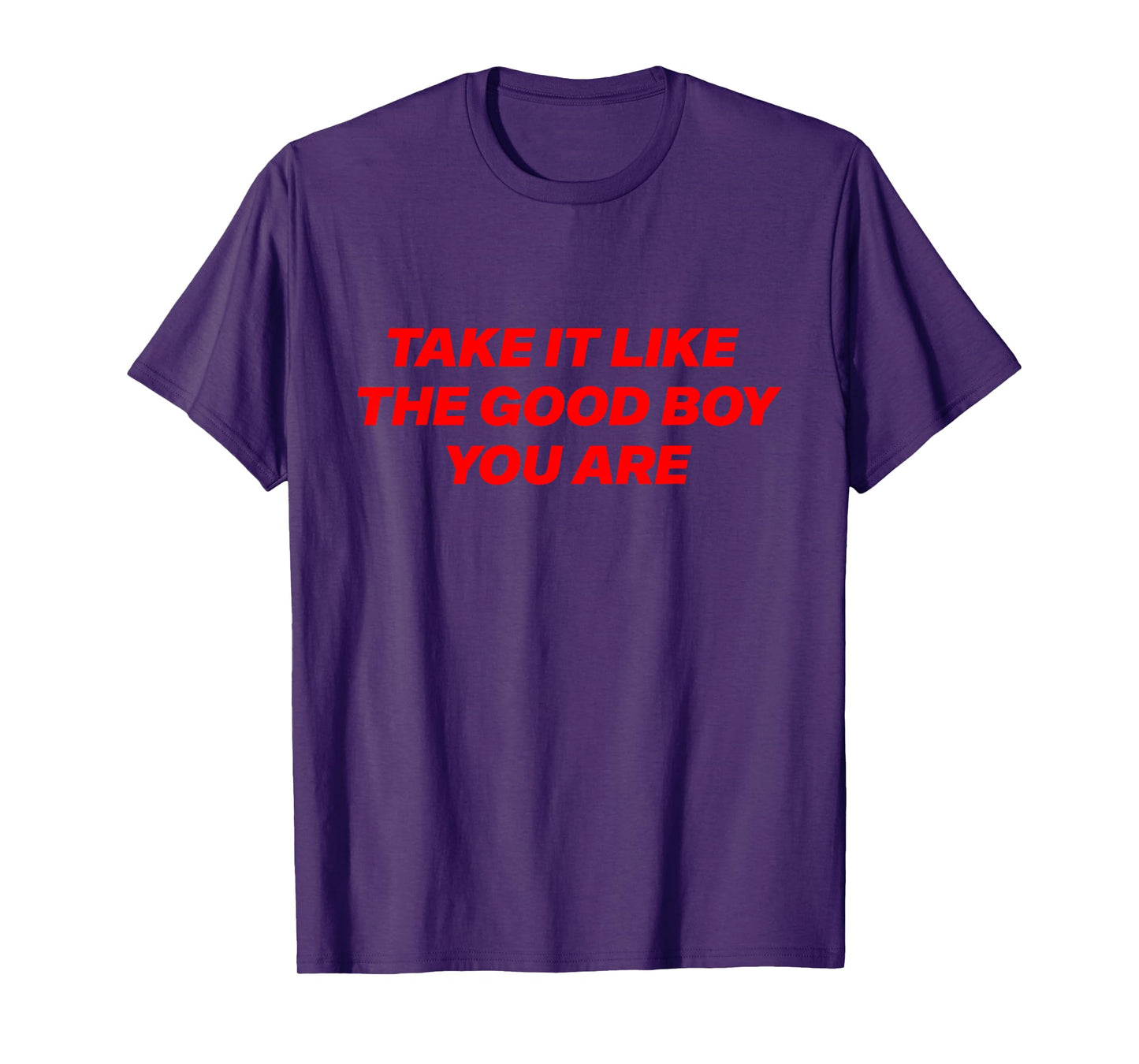 Take It Like The Good Boy You are Funny Quote T-Shirt