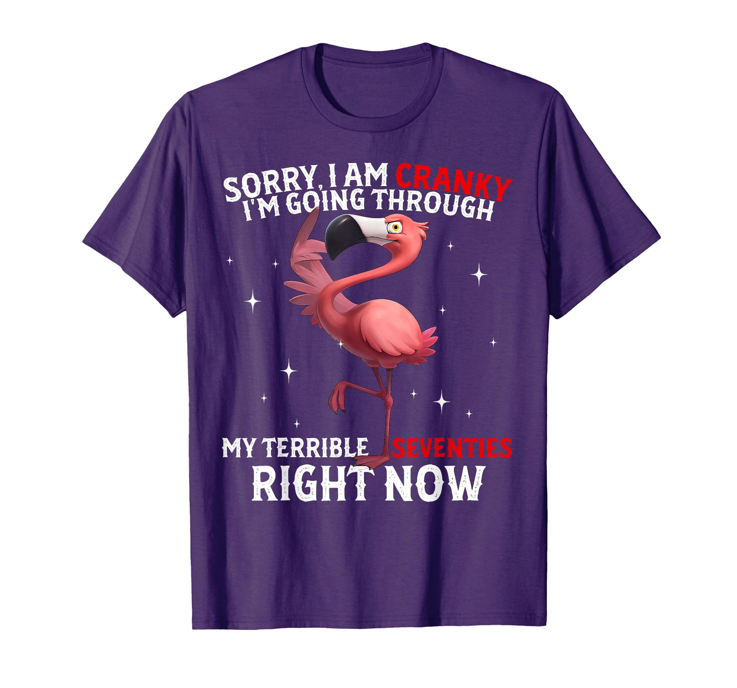 Sorry I Am Cranky I'm Going Through My Terrible Seventies T-Shirt