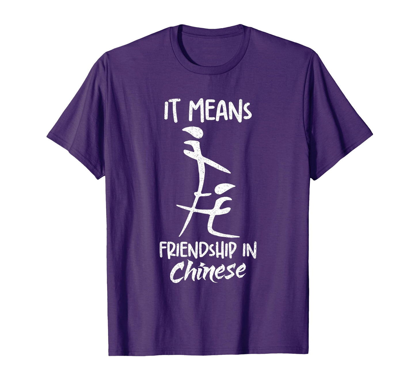 It Means Friendship in Chinese Funny Sarcasm Meme Sarcastic T-Shirt