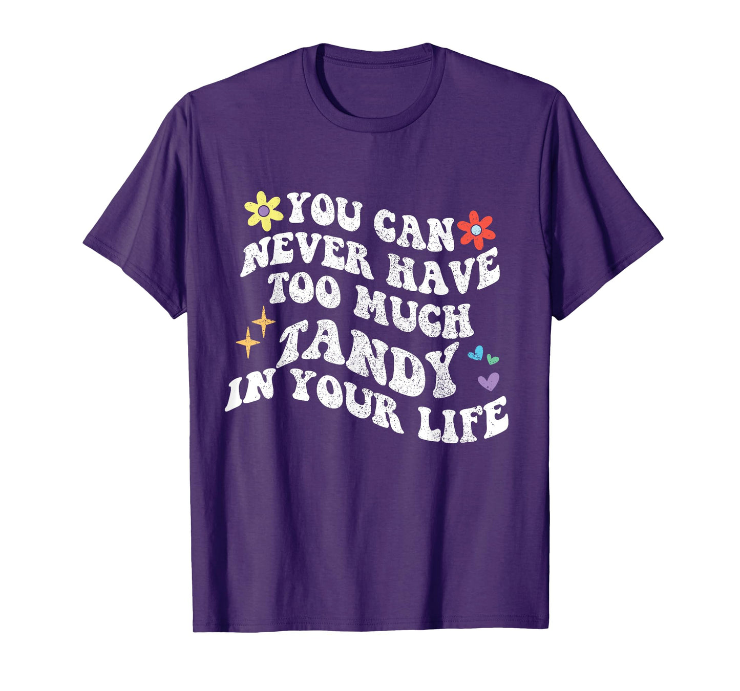 Retro Groovy You Can Never Have Too Much Tandy In Your Life T-Shirt