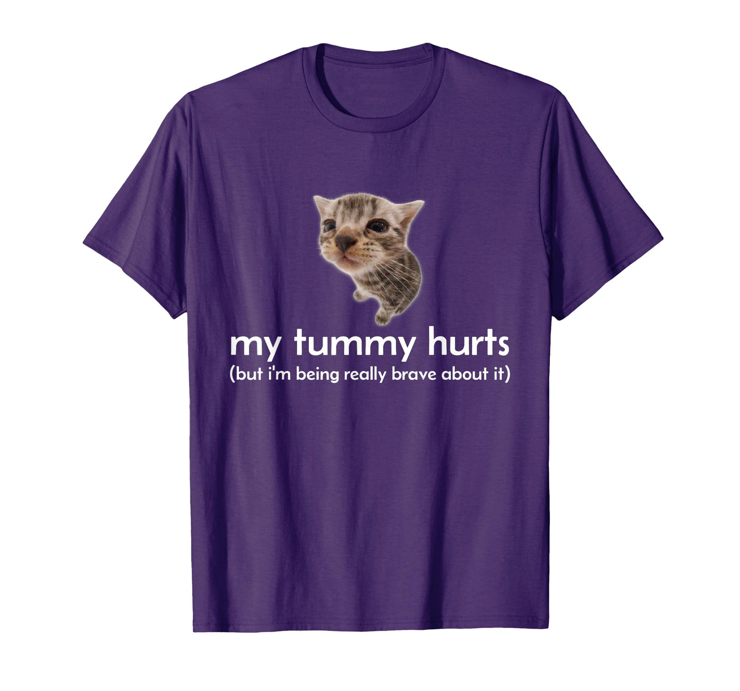 My Tummy Hurts But I'm Being Brave About It Funny Cat Meme T-Shirt for Men Women