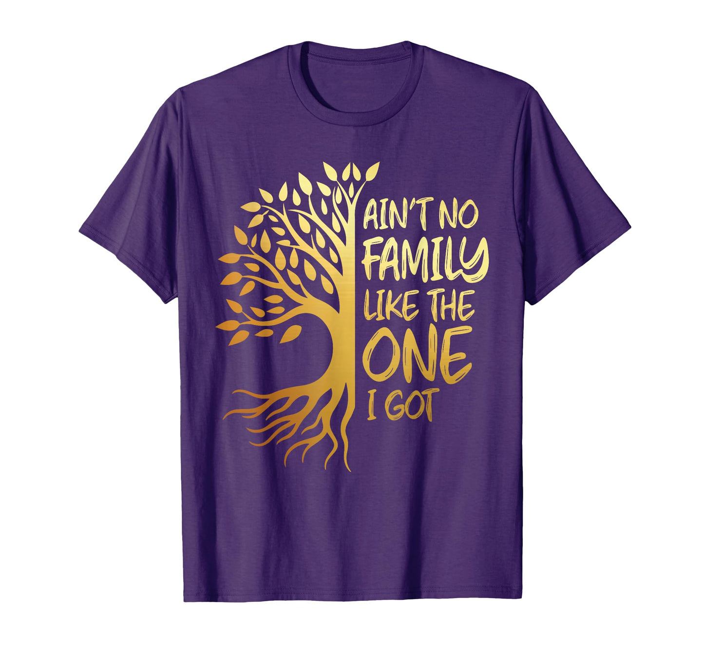 Ant no family like the one i got family tree reunion 2024 T-Shirt