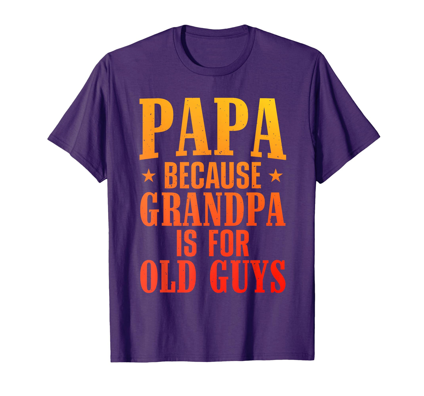 Funny Papa Design For Papa Men Grandpa From Grandkids Papa T-Shirt