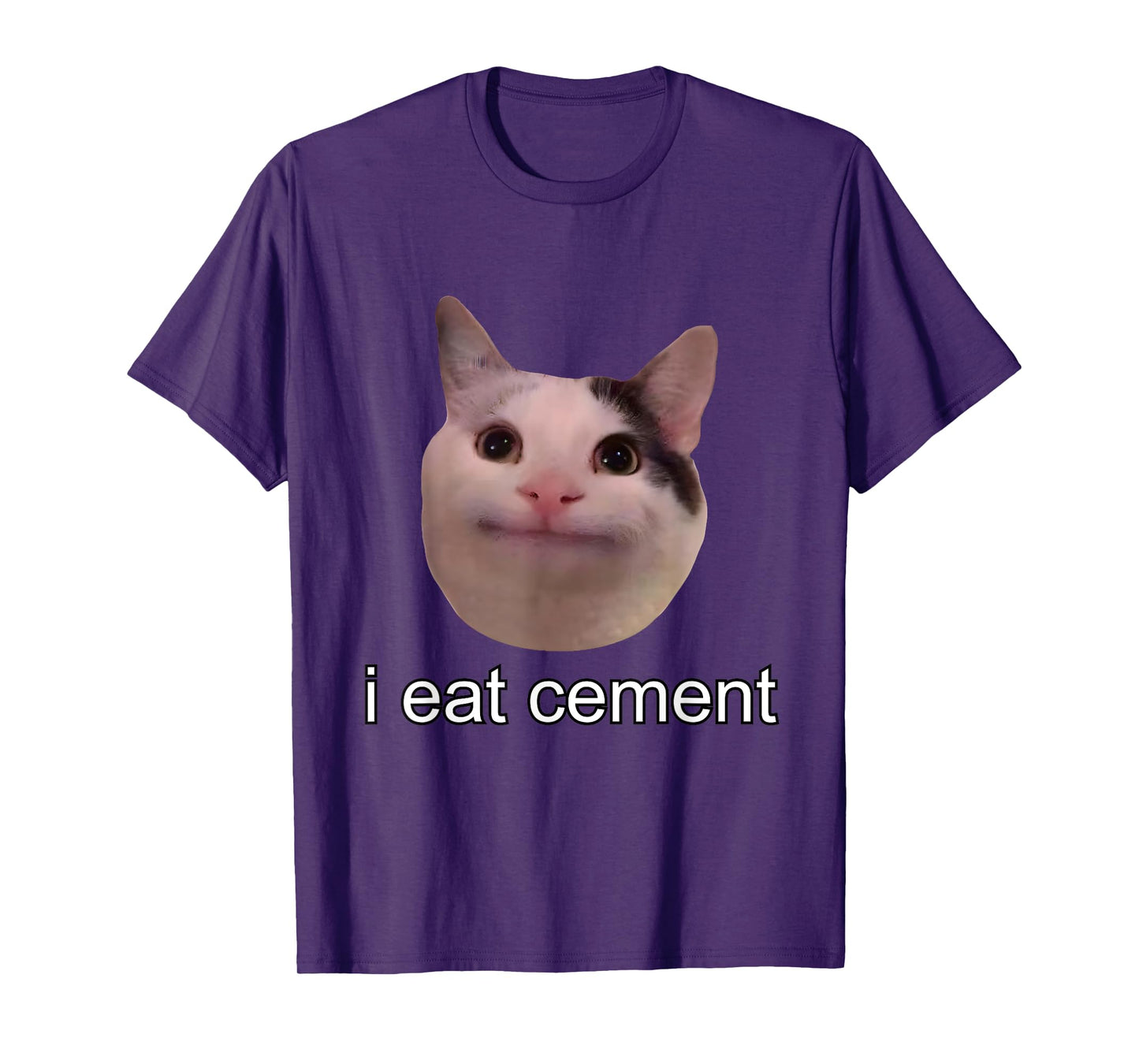 I Eat Cement Cursed Cat Funny Oddly Specific Meme T-Shirt