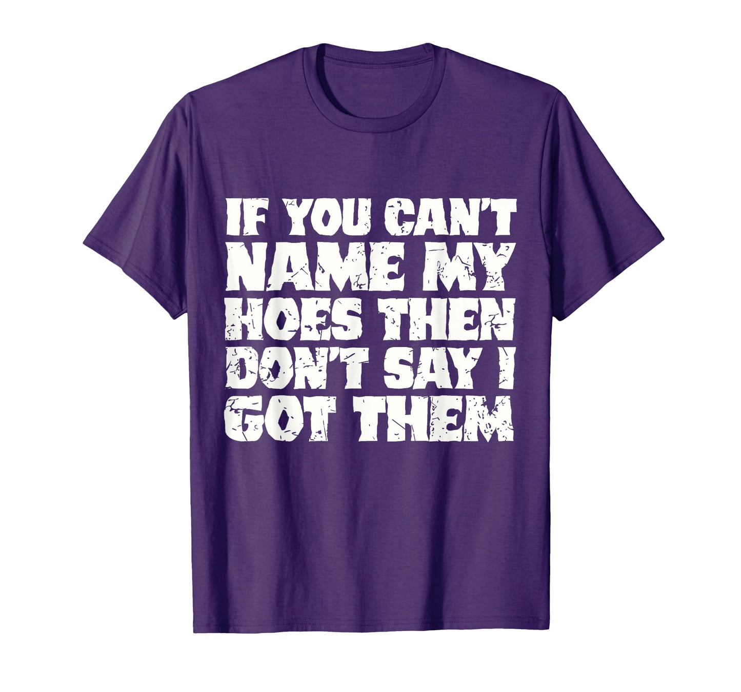 If You Cant Name My Hoes Dont Say I Got Them T-Shirt