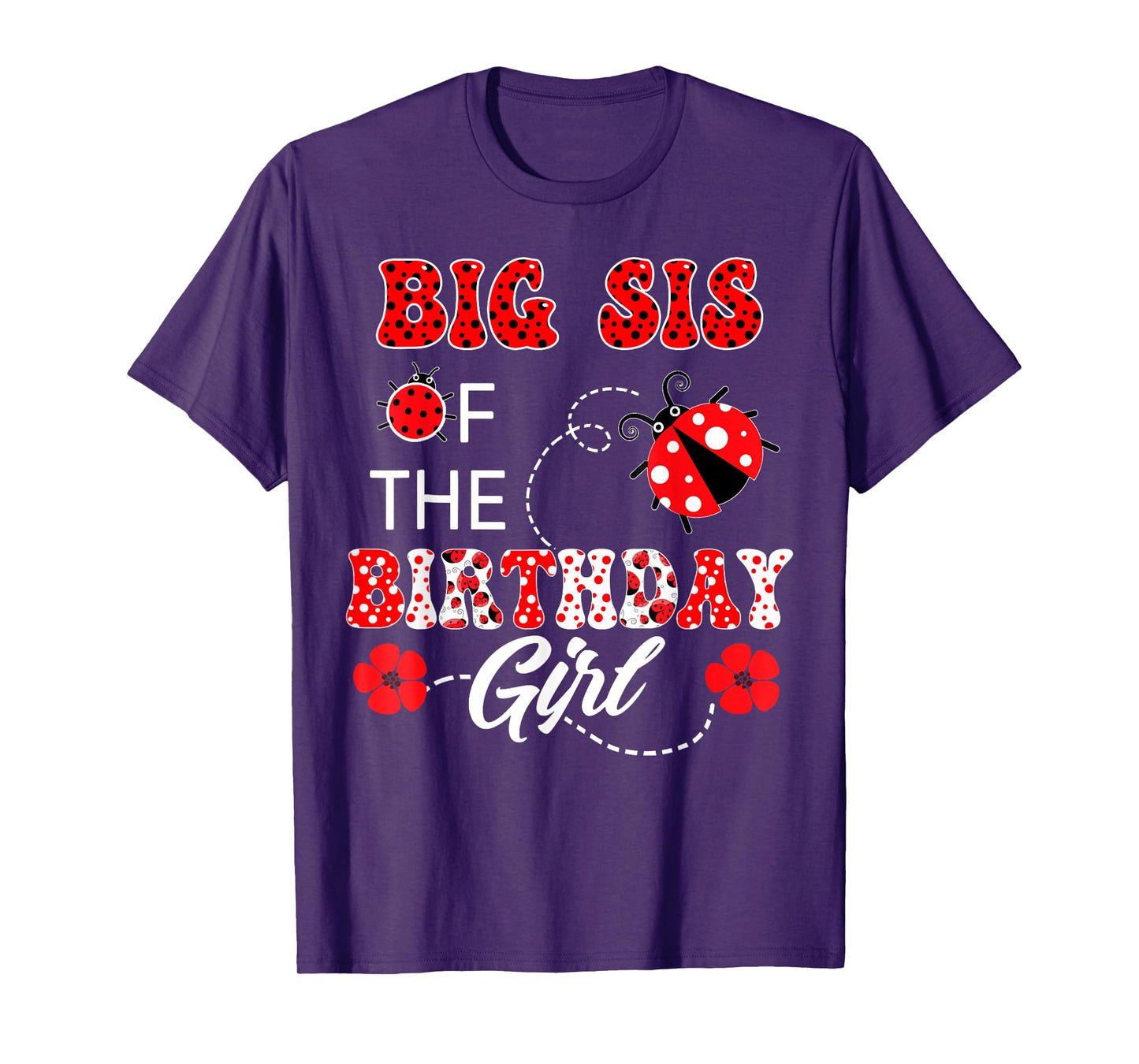 Big Sister Of The Birthday Girl Family Matching Ladybug T-Shirt