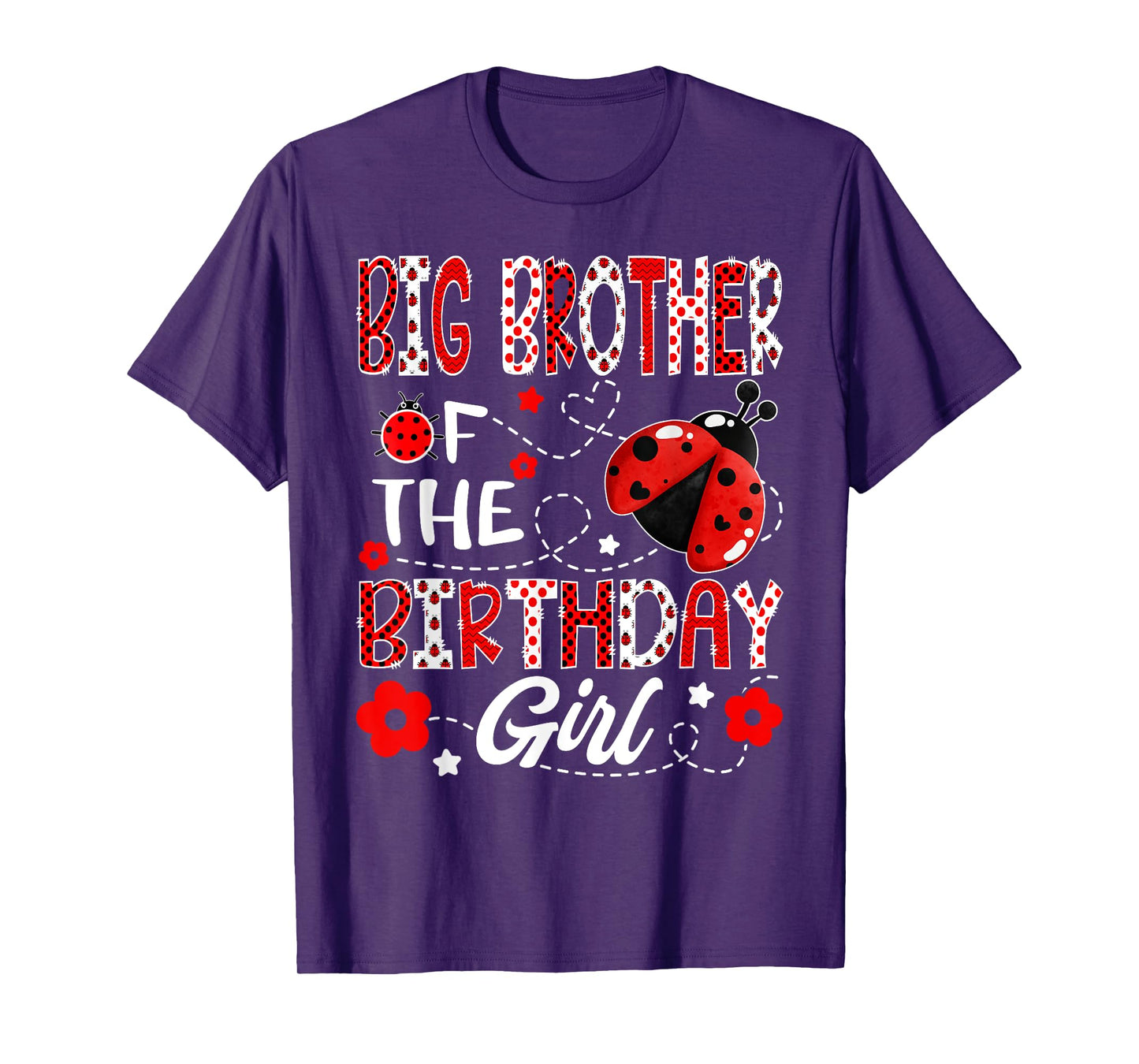 Big Brother of The Birthday Girl Ladybug Big Brother Bug T-Shirt