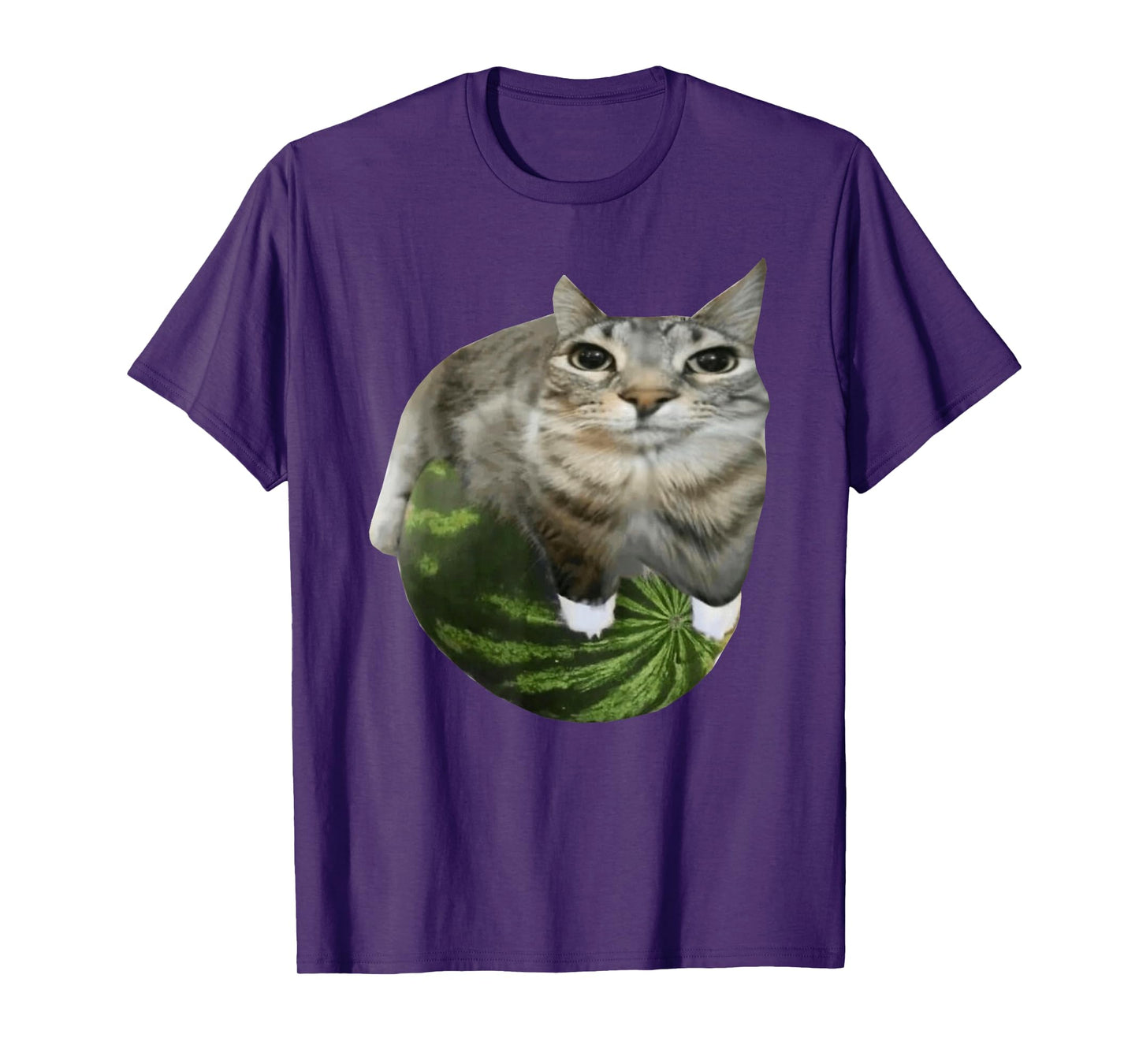 Watermelon Cat Meme T-Shirt