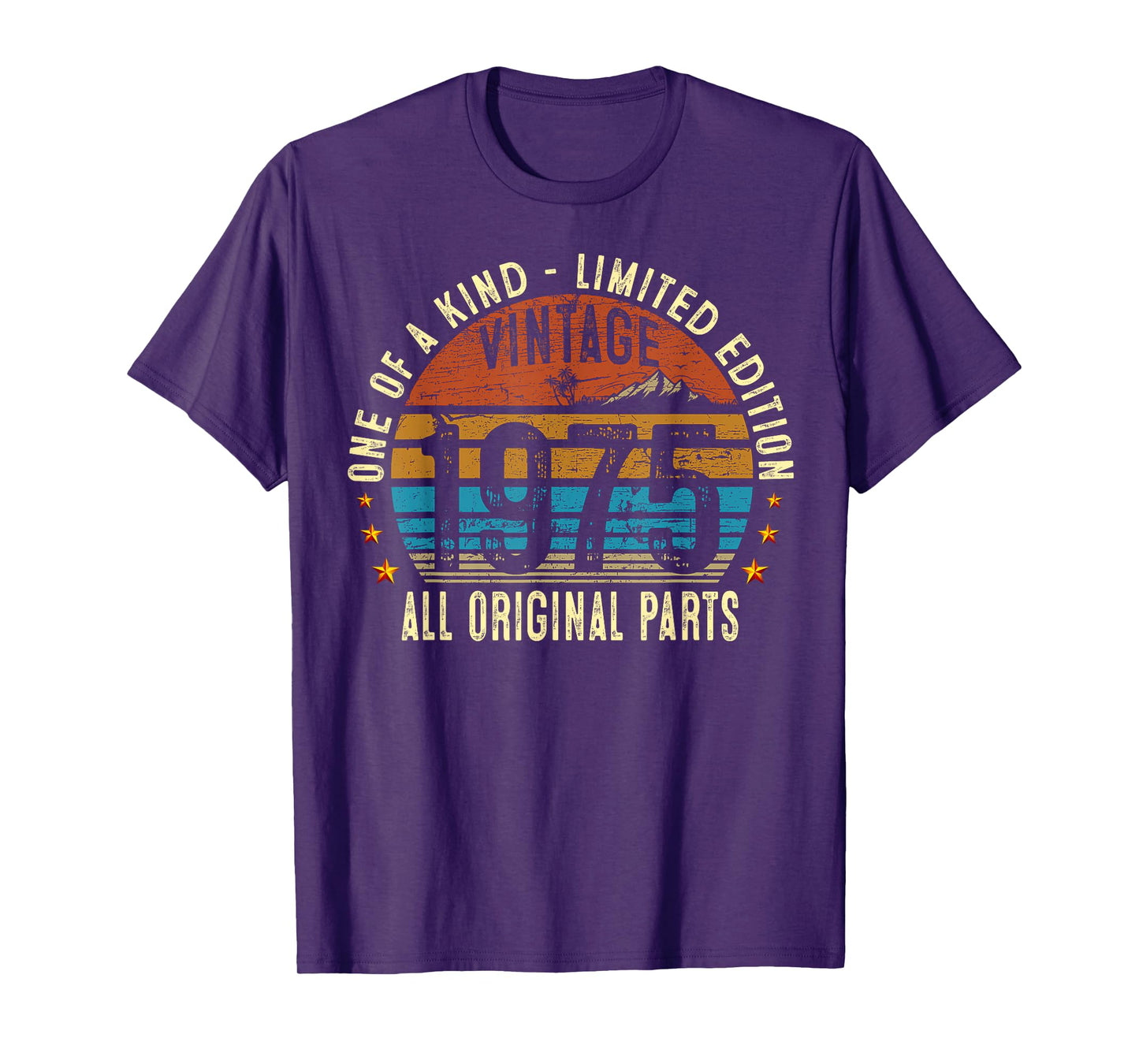 Vintage 1975 50 Years Old Men Women 50th Birthday Gifts T-Shirt