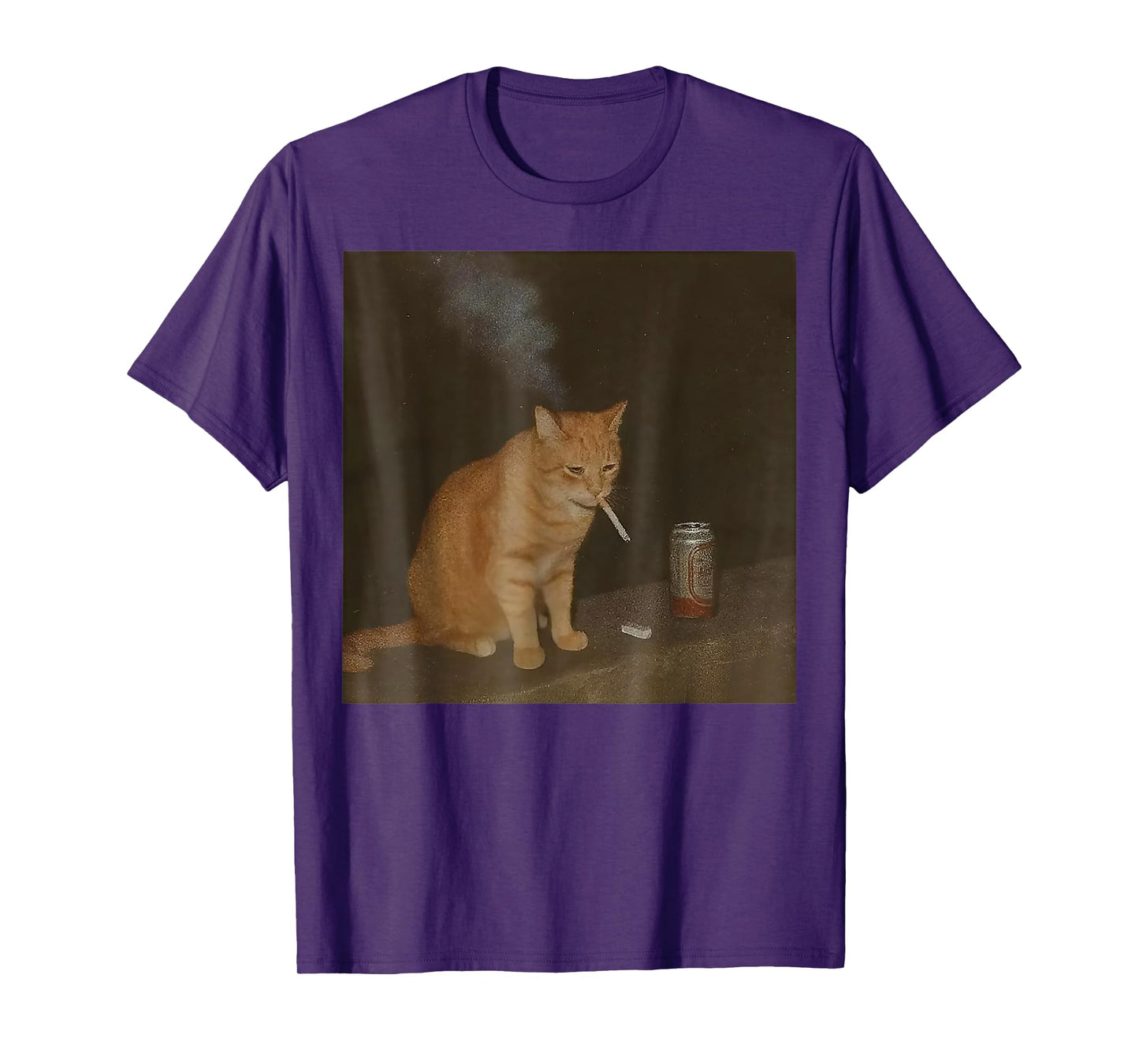Cigarette Kitten Funny Smoking Cat Meme Stupid Brainrot T-Shirt