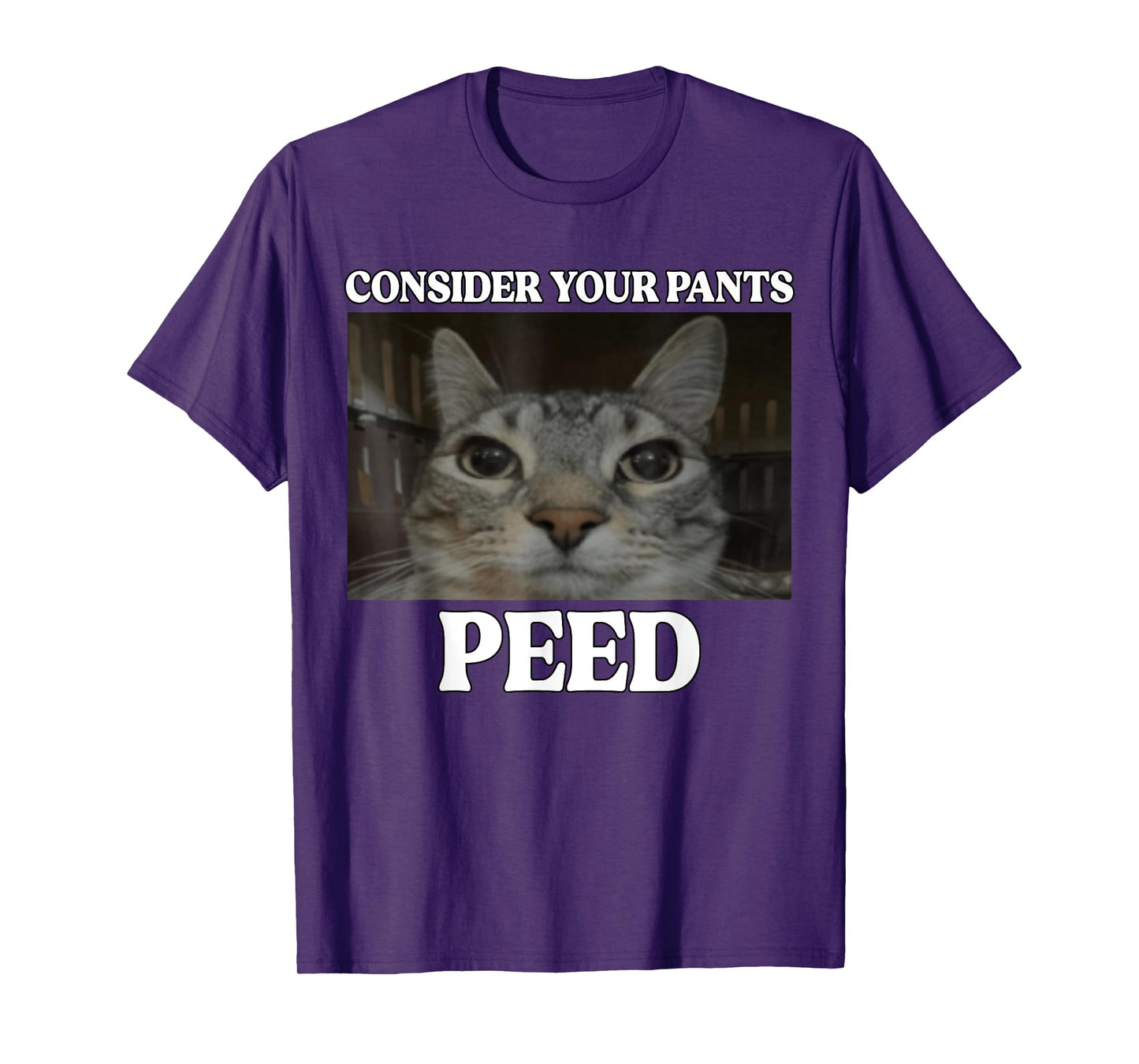 Consider Your Pants Peed Cat Funny Silly Cat Meme T-Shirt