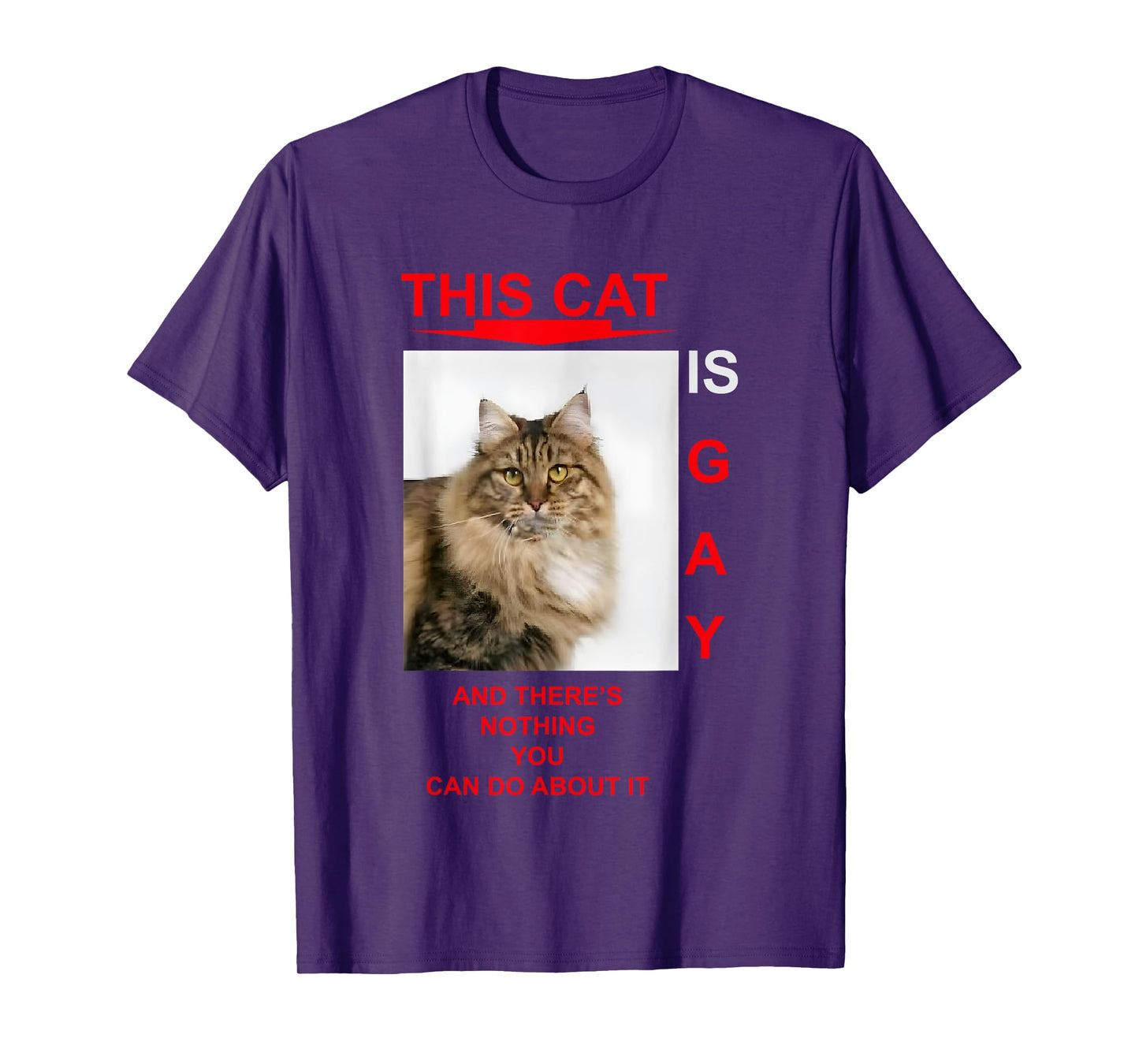 This Cat Is Gay And There's Nothing You Can Do About It T-Shirt