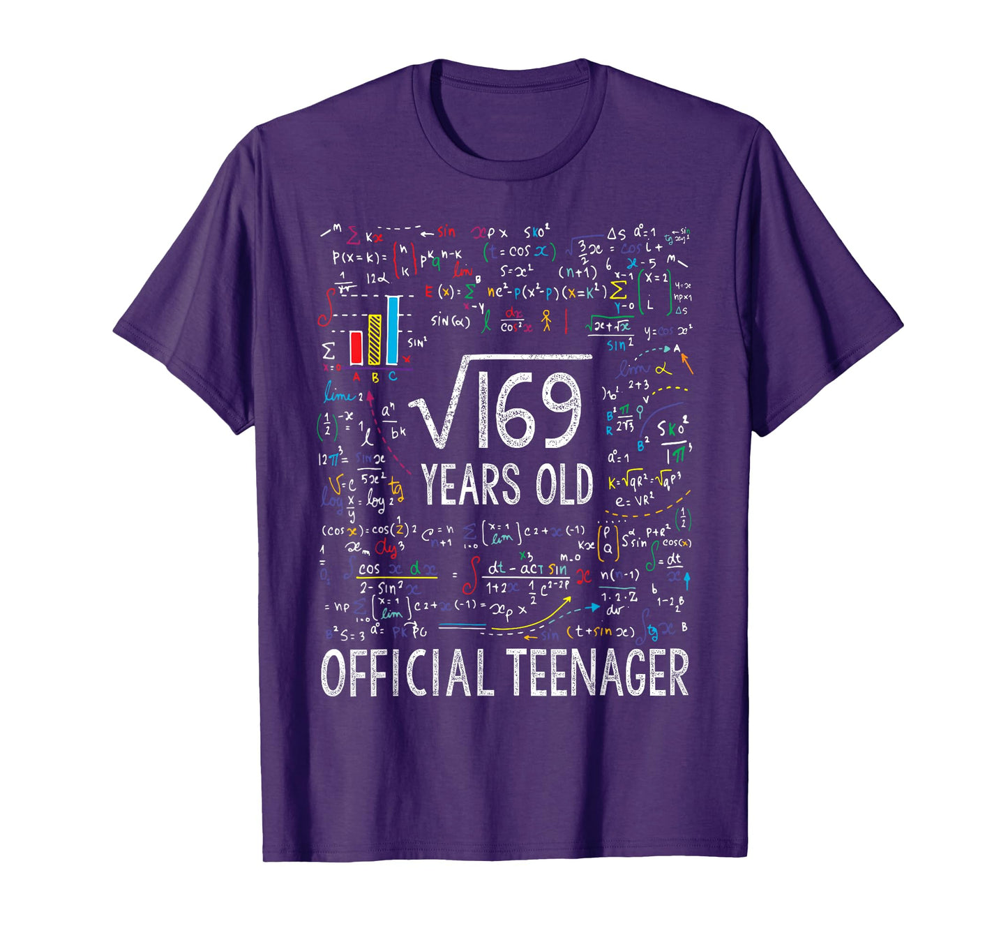 Square Root Of 169 13 Years Old Official Teenager Birthday T-Shirt