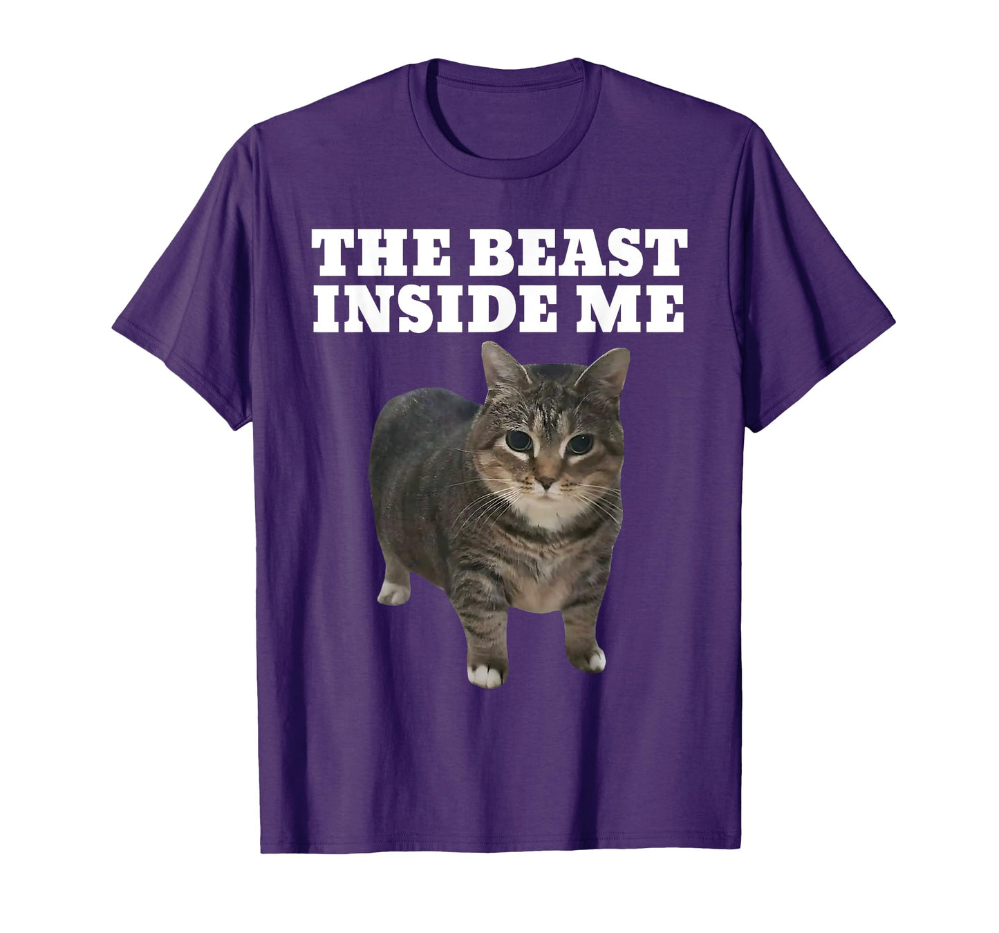 Cat Meme Beast Inside Me Funny T-Shirt