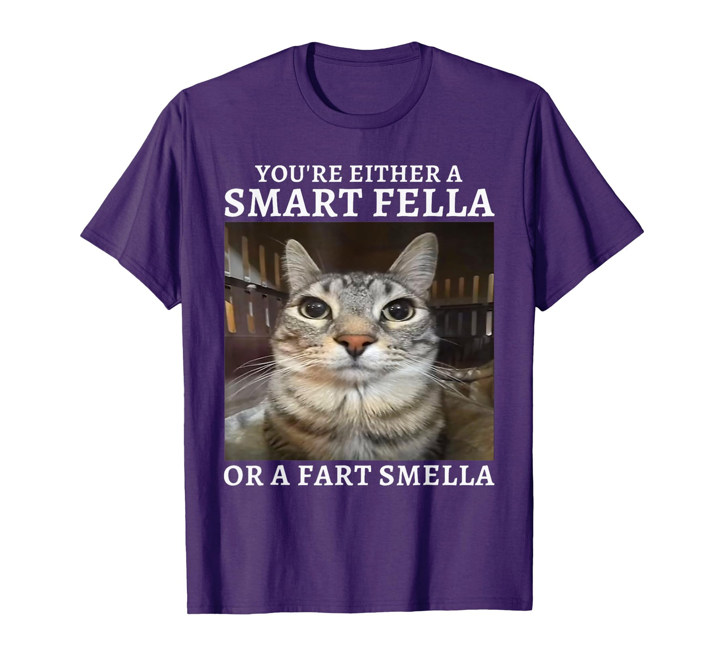 You're Either a Smart Fella or a Fart Smella Funny Cat Meme T-Shirt