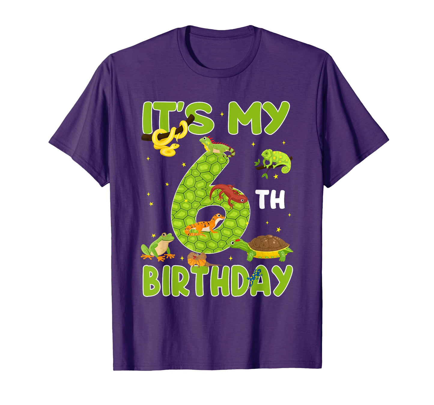 6th Birthday Lizard Reptile Birthday Party 6 Year Old T-Shirt