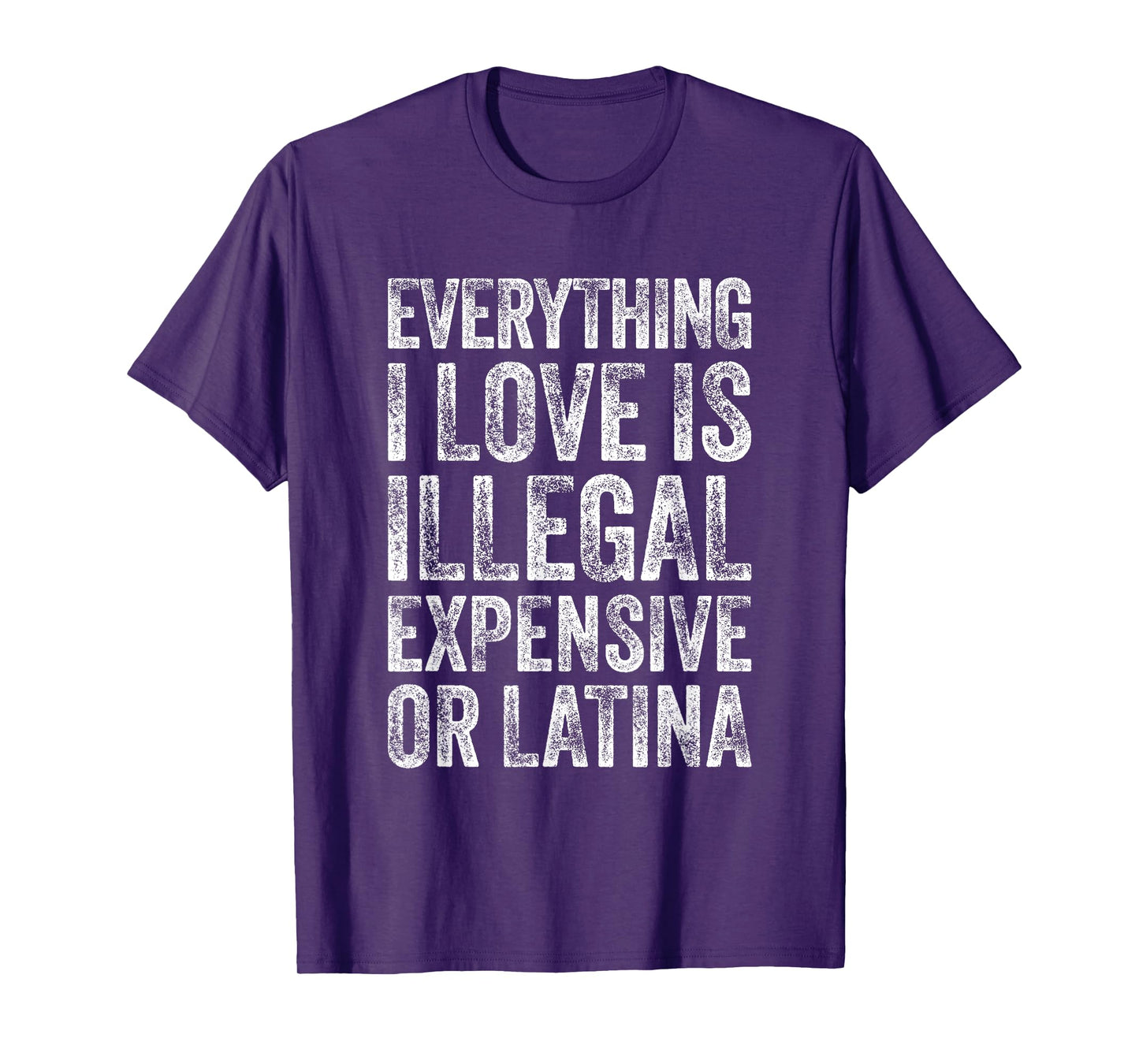 Everything I Love Is Illegal Expensive Or Latina Irony T-Shirt