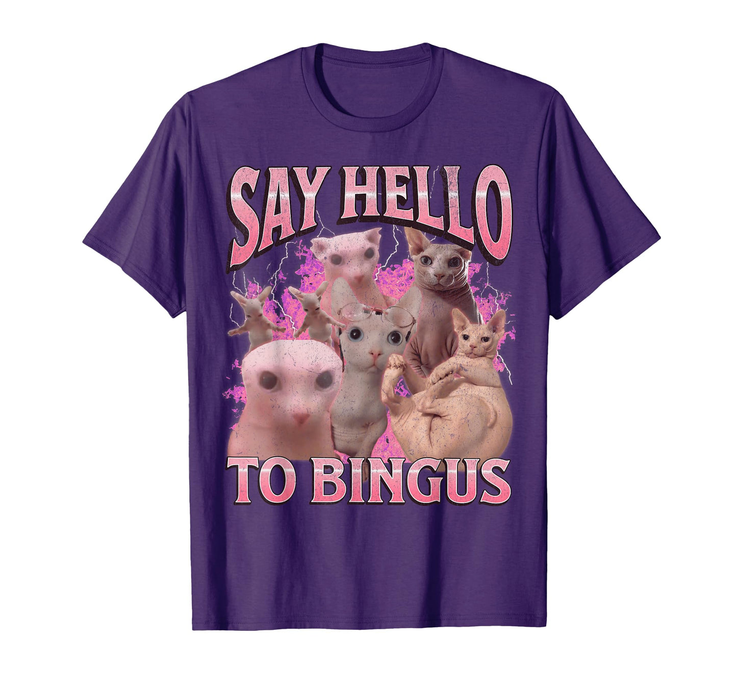 Say Hello To Bingus Funny Sphinx Cat Meme Bootleg Graphic T-Shirt