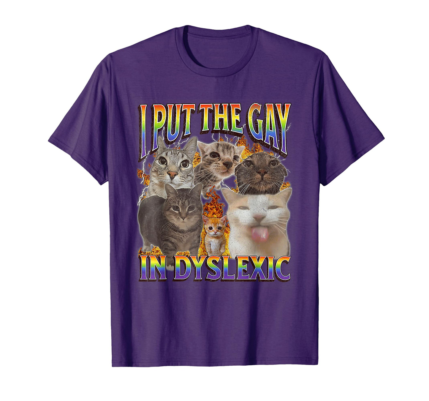 I Put The Gay In Dyslexic LGBT Cat Meme Bootleg Graphic T-Shirt