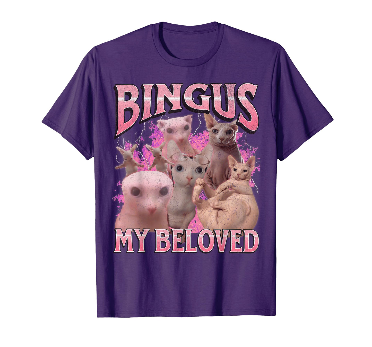 Bingus My Beloved Funny Sphinx Cat Meme Bootleg Graphic T-Shirt for Men Women Kids