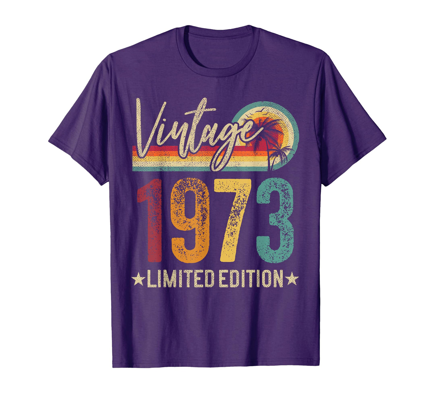 1973 53rd Birthday 53 Years Old Retro Men Women - Vintage T-Shirt