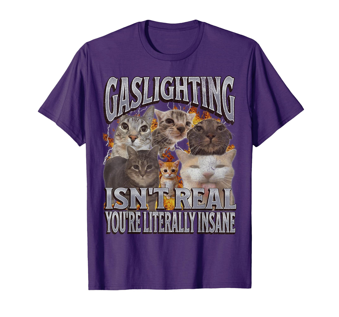 Gaslighting Isn't Real Funny Cat Meme Bootleg Graphic T-Shirt for Men Women